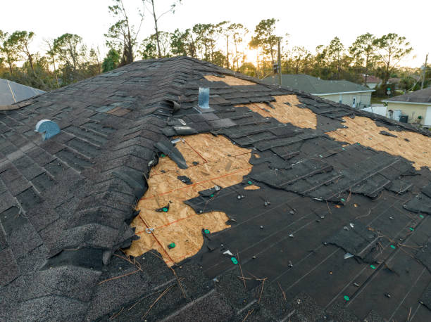 Best Slate Roofing  in Pelahatchie, MS